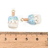 Alloy Enamel Pendants AL-CBAC5EF-07G-01-3