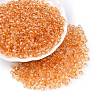 Baking Paint Electroplate Transparent Glass Seed Beads SEED-N006-07G-1