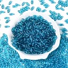 Transparent Colours Glass Seed Beads SEED-T007-16L-1