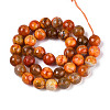 Dyed & Heated Natural Fire Crackle Agate Beads Strands G-N359-01B-09-3