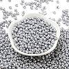 6/0 Glass Seed Beads SEED-L011-08A-12-2