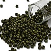 TOHO 6/0 Round Beads SEED-TR06-0617-1