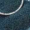 MIYUKI Round Rocailles Beads X-SEED-G009-RR2256-1