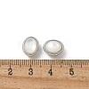 Brass Shell Beads KK-U052-41P-3