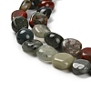Natural African Bloodstone Beads Strands G-P497-01E-13-4