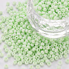 8/0 Opaque Glass Seed Beads X1-SEED-S048-N-009-1