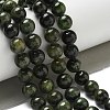 Natural Green Diopside Beads Strands G-K382-B01-03-2