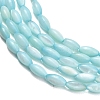 Natural Freshwater Shell Beads Strands SHEL-C010-01C-2
