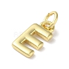 Rack Plating Brass Charms KK-P245-06G-E-2
