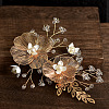 Alloy & Brass Hair Combs PW-WGB9E8B-01-1