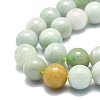 Natural Myanmar Jade Beads Strands G-E576-08B-3