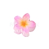 Plastic Claw Hair Clips PW-WG07B2B-11-1