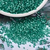 MIYUKI Delica Beads SEED-J020-DB1813-1
