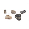 Natural Freshwater Shell Beads X-BSHE-I011-03A-2