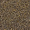 MIYUKI Round Rocailles Beads SEED-G007-RR4517-3