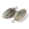 Natural Labradorite Pendants GG-CBACB71-01P-04-2
