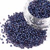 12/0 Grade A Round Glass Seed Beads SEED-N001-D-10/216-1