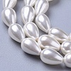 Polished Shell Pearl Beads Strands X-BSHE-L042-A02-2