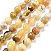 Natural Yellow Opal Beads Strands G-C179-F03-01-1