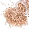 TOHO 8/0 Round Beads SEED-TR08-0031-1