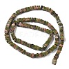 Natural Unakite Beads Strands G-A280-C10-01-4