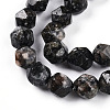Dyed Natural Sesame Jasper Beads Strands G-T139-8mm-47B-3