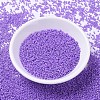 MIYUKI Delica Beads X-SEED-J020-DB1379-2