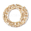 Natural Trochid Shell/Trochus Shell Beads Strands SSHEL-S266-009-2