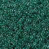 MIYUKI Round Rocailles Beads X-SEED-G009-RRHB169-3