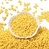 Rubberized Style Glass Seed Beads SEED-Z003-01H-2
