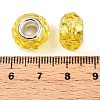 Handmade Glass European Beads for Biagi Bracelet Making X-GPDL25Y-10-3