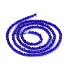 Transparent Glass Beads Strands GLAA-H021-04-09-4