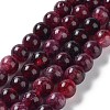 Dyed Natural Malaysia Jade Beads Strands G-G021-01A-04-2