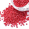 11/0 Czech Opaque Glass Seed Beads SEED-N004-003B-22-1