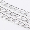 Iron Twisted Chains CH-1.4DK-N-1
