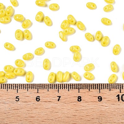 Baking Paint Glass Seed Beads SEED-T006-03C-1