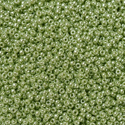 MIYUKI Round Rocailles Beads X-SEED-G007-RR0439-1