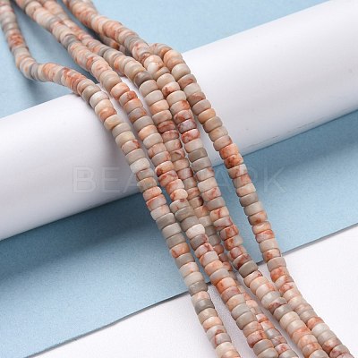Natural Netstone Beads Strands G-P468-01-1