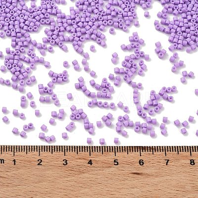 Baking Paint Glass Seed Beads SEED-S042-05B-71-1