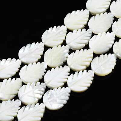 Natural Trochid Shell/Trochus Shell Beads Strands SSHEL-N034-136B-01-1