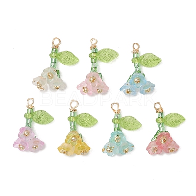 7Pcs Glass Seed Bead and Acrylic Beads Pendants PALLOY-MZ01325-1