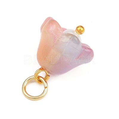 12Pcs 12 Colors Transparent Glass Charm PALLOY-JF04459-1