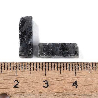 Natural Larvikite Beads G-G137-01M-1