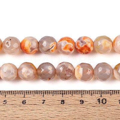 Dyed & Heated Natural Fire Crackle Agate Beads Strands G-N359-01B-10-1