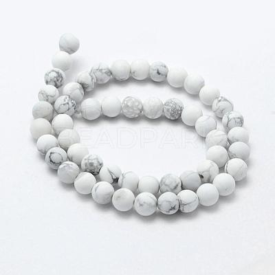 Natural Howlite Beads Strands G-F518-22-8mm-1