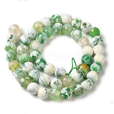 Dyed & Heated Natural Fire Crackle Agate Beads Strands G-P539-B01-24-1