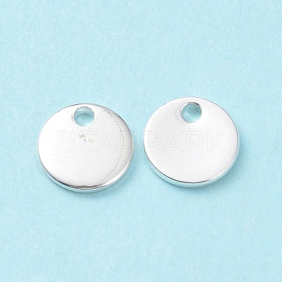304 Stainless Steel Charms STAS-L234-081A-S-1