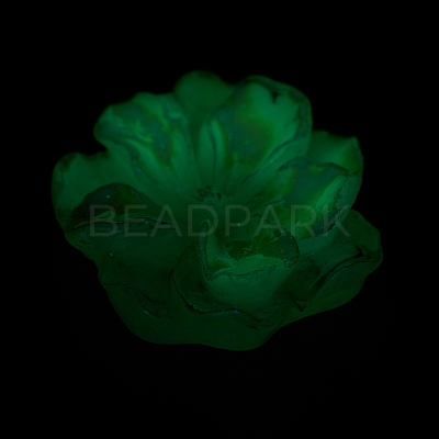 Luminous Resin Cabochons X-RESI-E033-02D-1