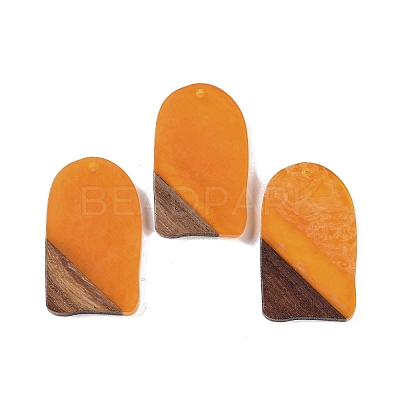 Resin & Wood Pendants WOOD-F015-13E-1