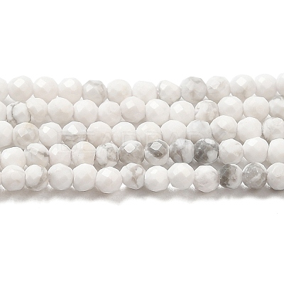 Natural Howlite Beads Strands G-E608-A01-A-1